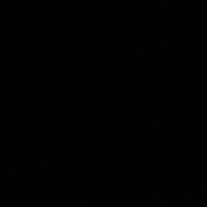 Meet your Posher, Maddie